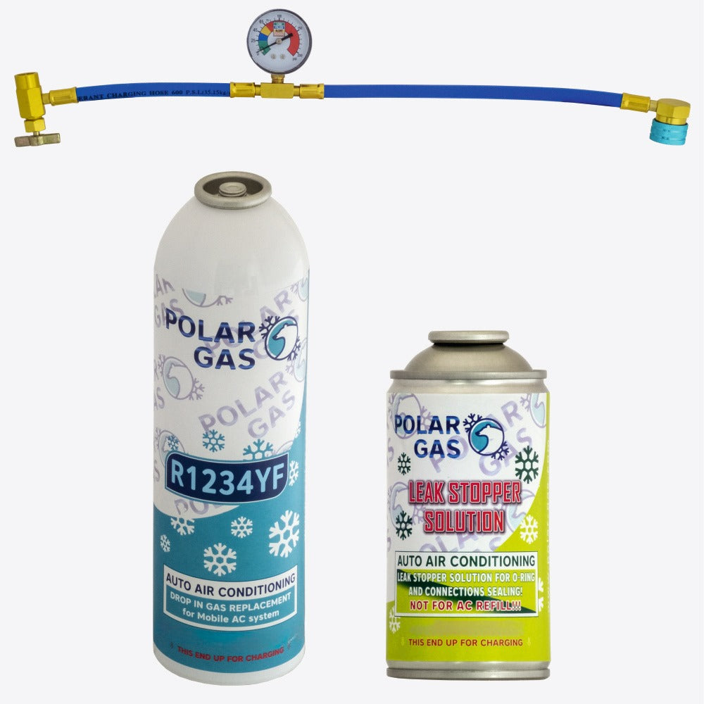 1GCM Polar Gas