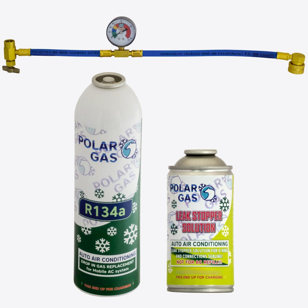 1GCM Polar Gas