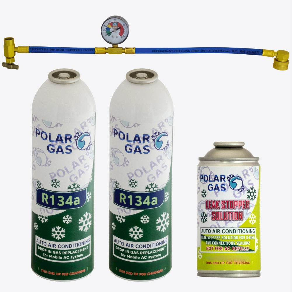 2GCM Polar Gas